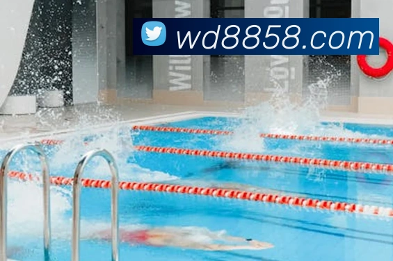 平台展示图